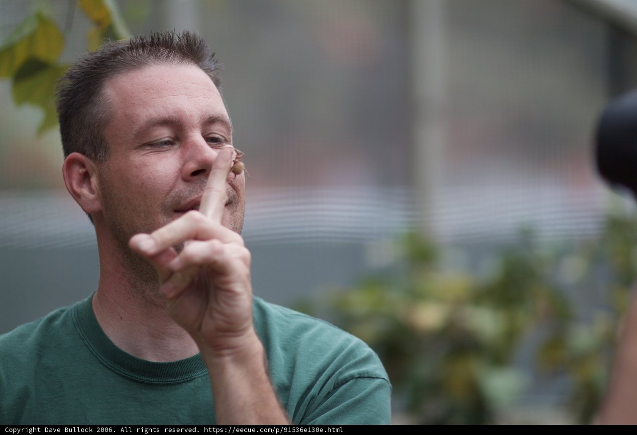 Nose-Tapping Man