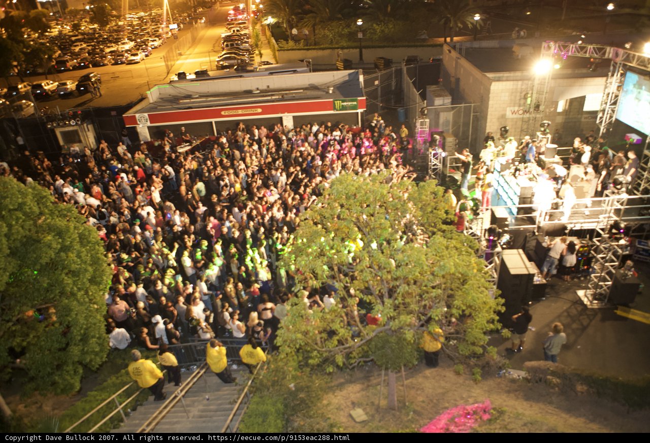 Nighttime Concert Crowd