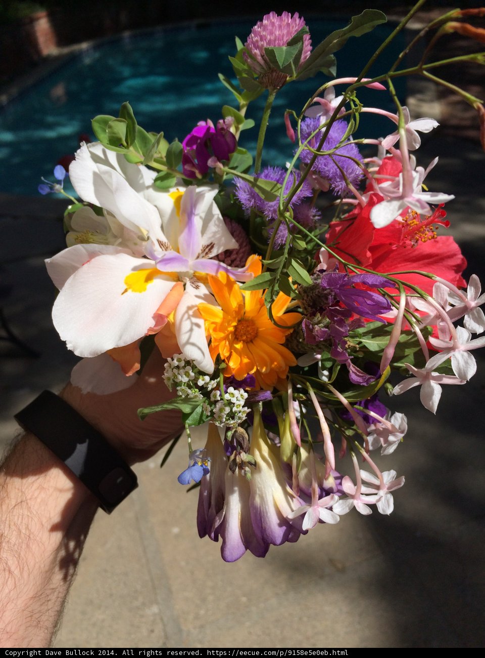Floral Serenity