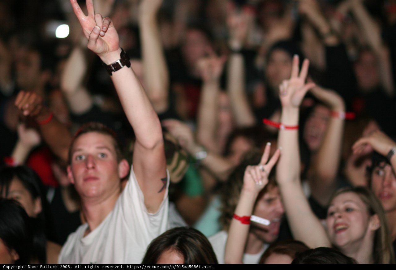 Hands Up in the Crowd