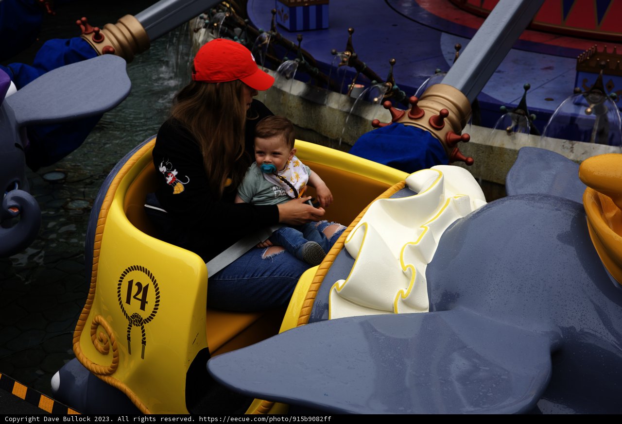 Magical Moments at Disneyland
