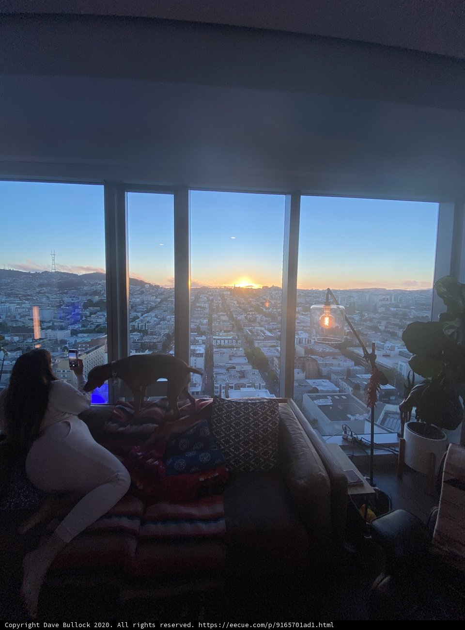 Room with a View