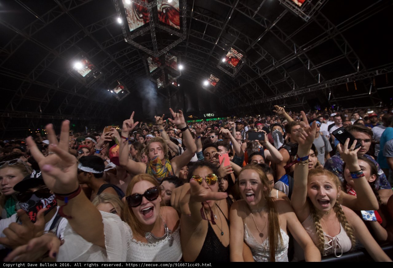 High Energy Concert Crowd