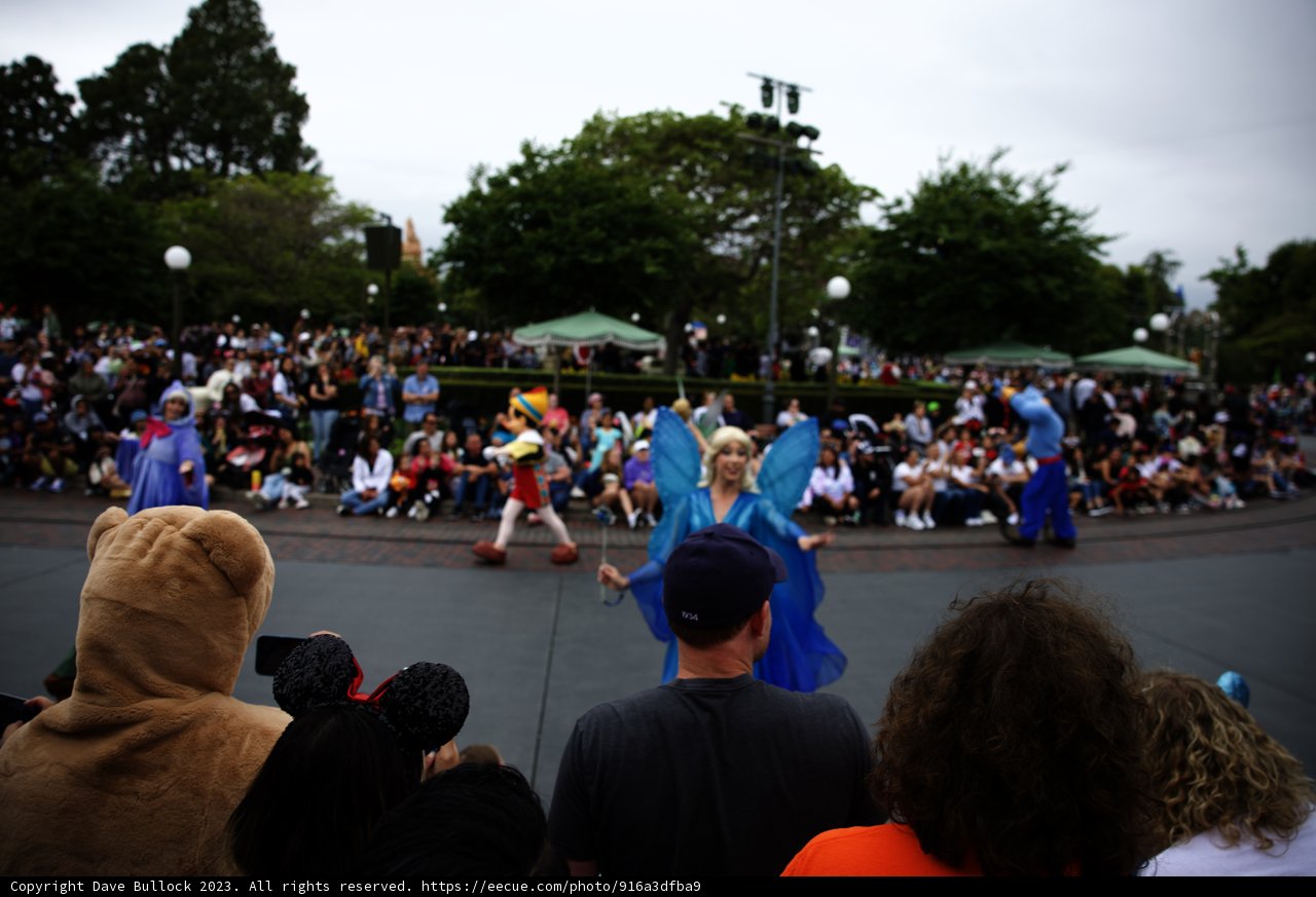 Magical Moments at Disneyland
