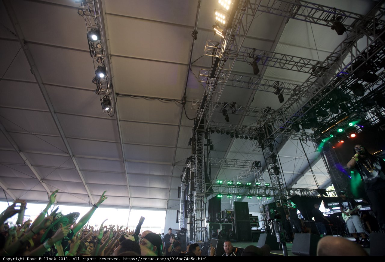 Green Lights and a Thrilling Crowd at a Concert