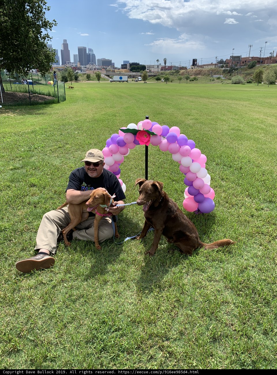 Man and his Furry Companions Enjoying the Great Outdoors