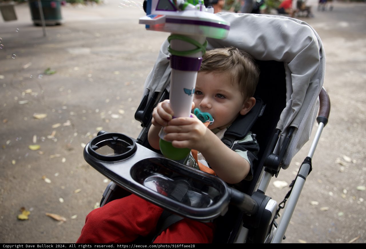 Wesley's Day Out at Disneyworld Animal Kingdom, 2024
