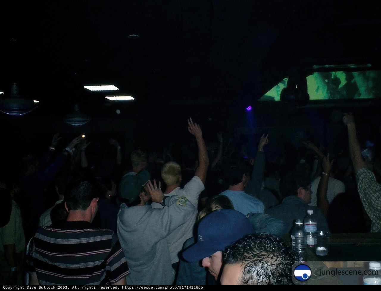 Nightlife Excitement