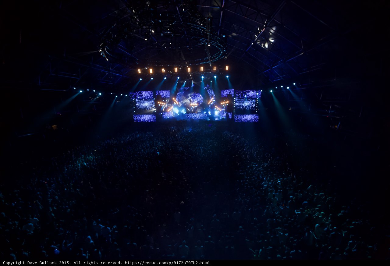 Spotlight on the Crowd