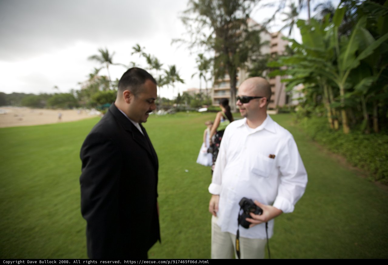 Business Casual in the Hawaiian Grass