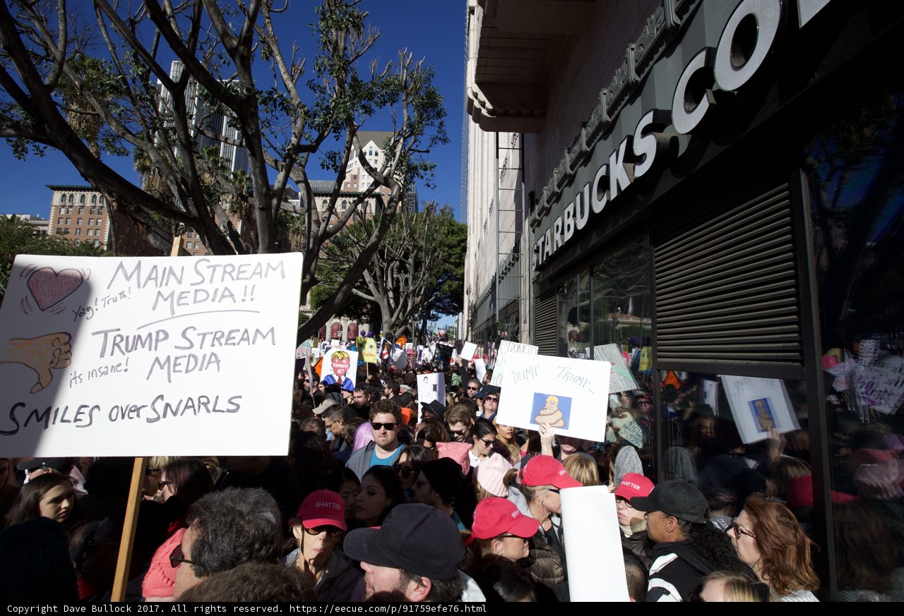 Women Marching for Equality