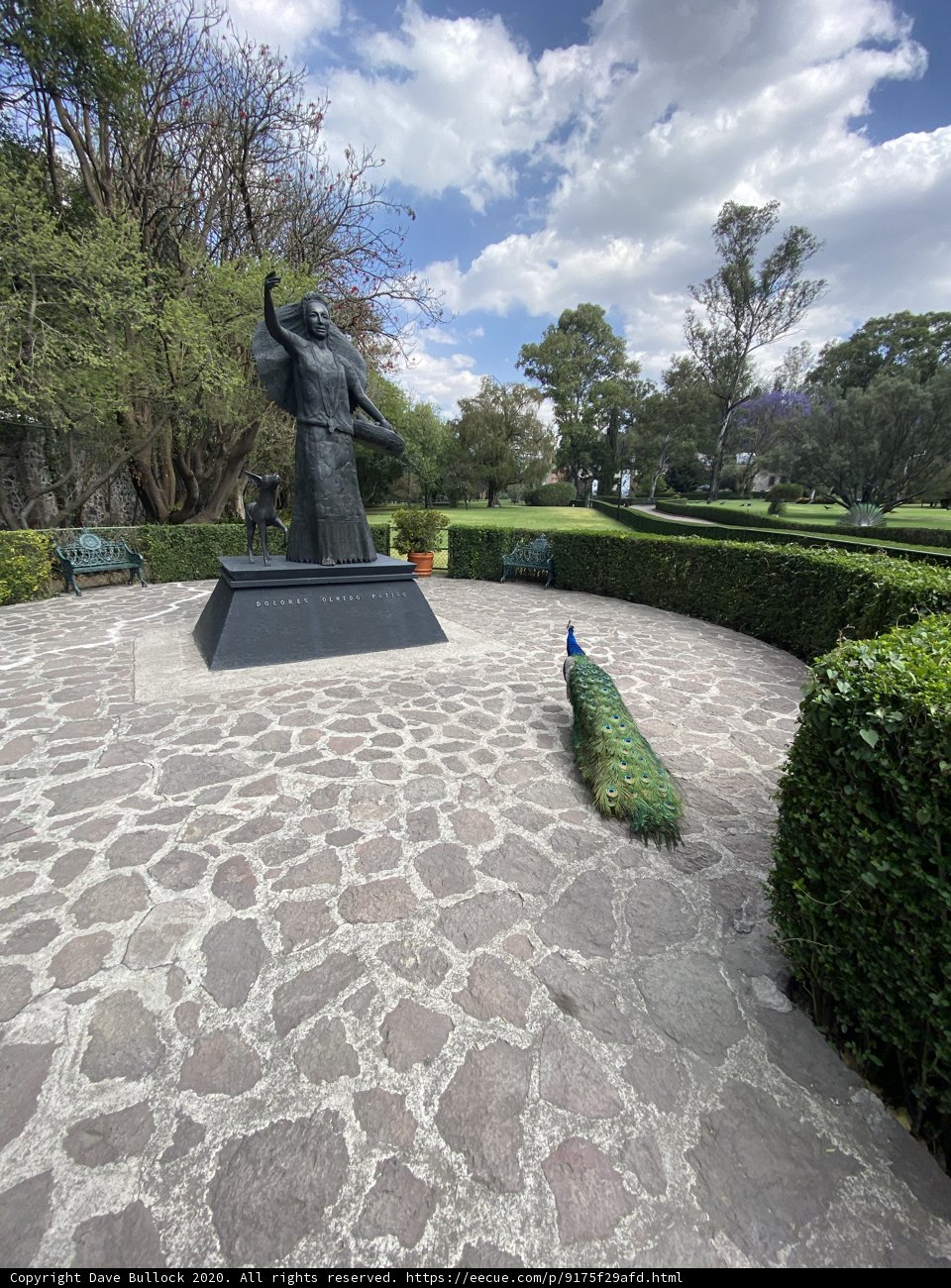 Man and Peacock Statue in Xochimilco Park