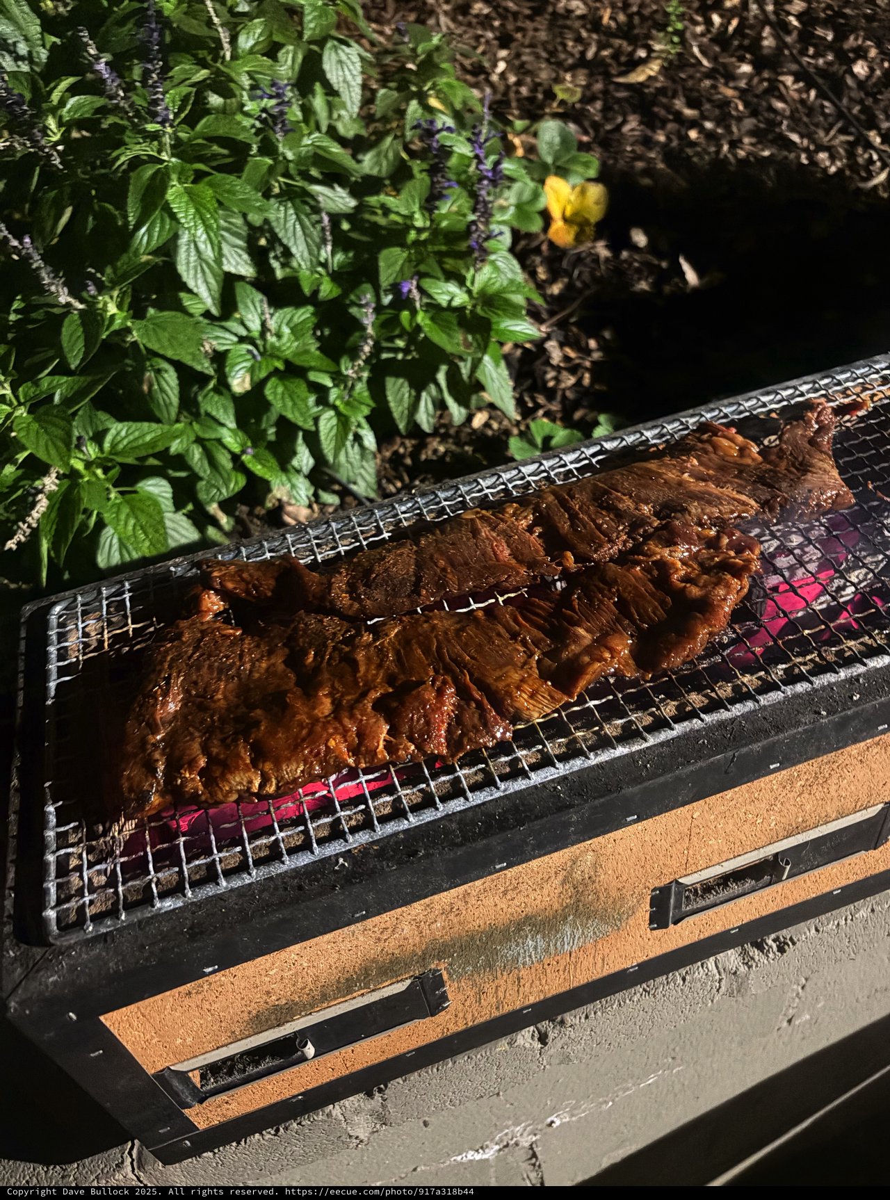 Outdoor Grilling: Fresh Ribs Cooking Over Hot Coals