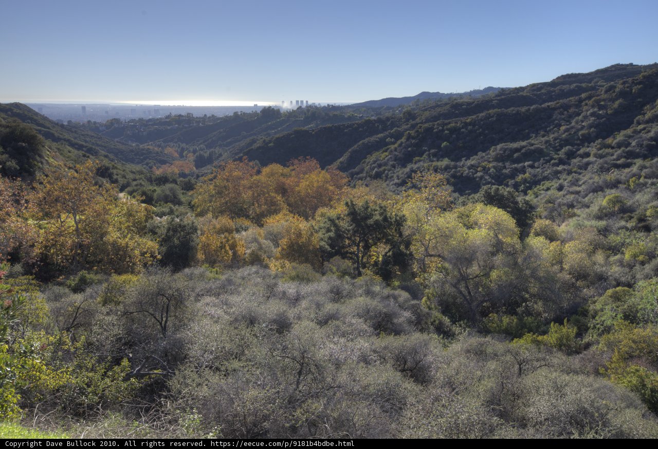 Majestic View of a Wilderness Valley