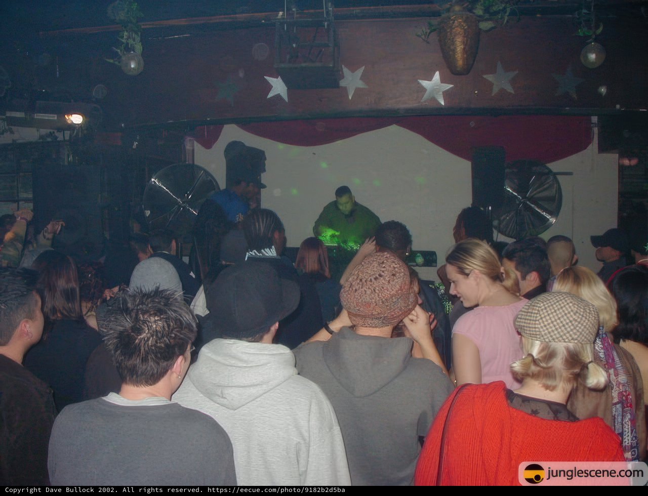 The Disco Never Dies