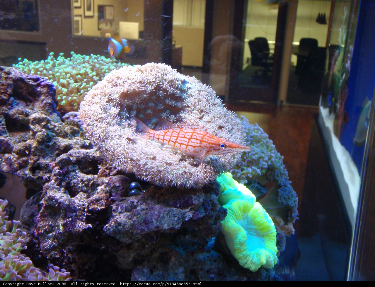 Underwater World