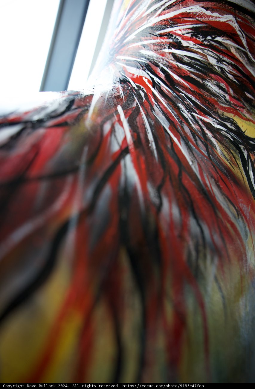 Artistic Avian Splendor in Close-Up