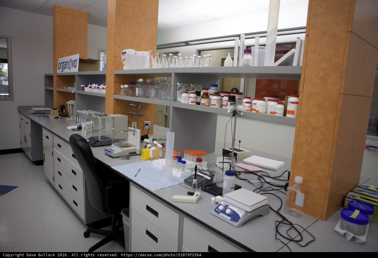 A Well-Stocked Lab Room
