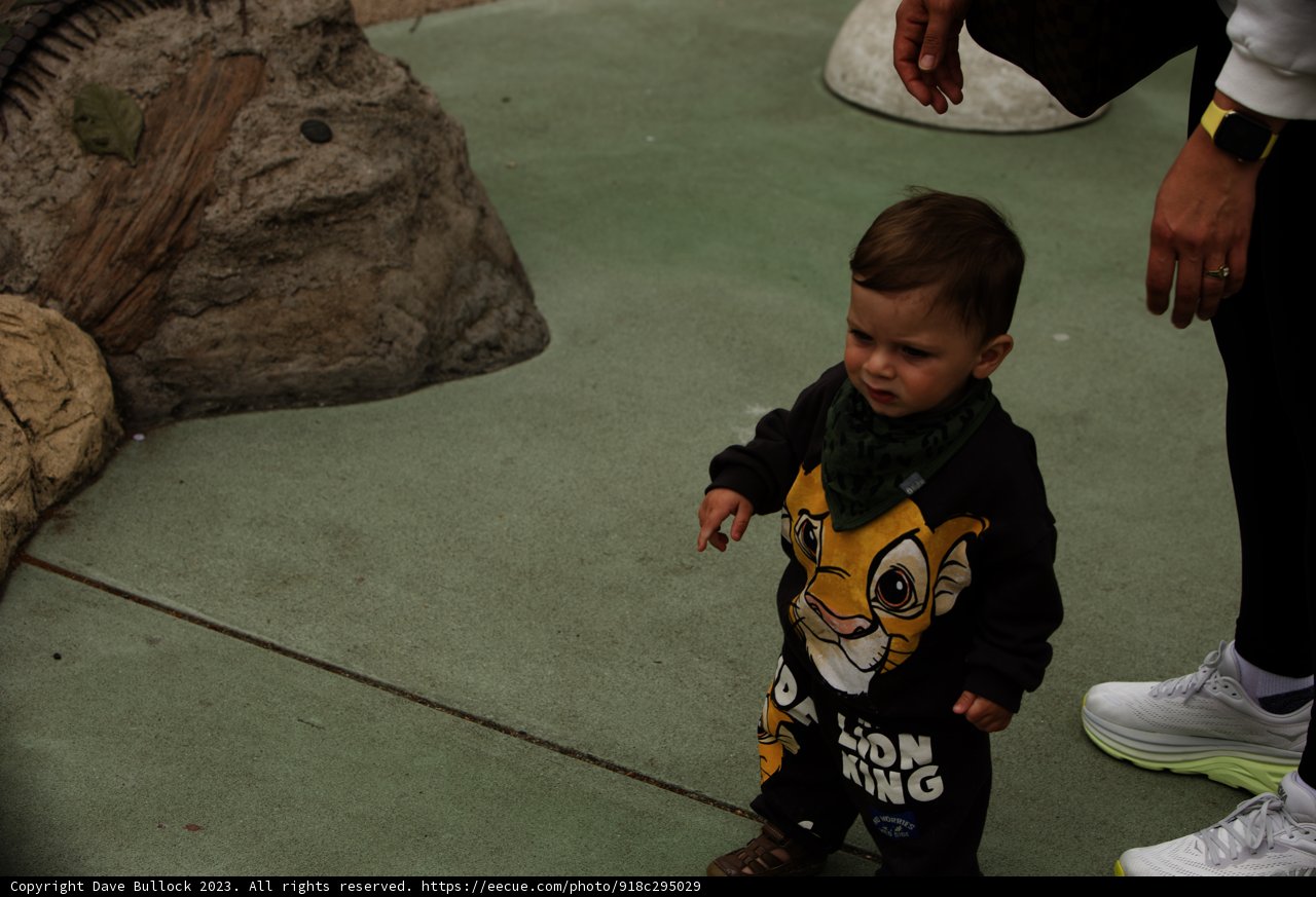 A Day of Fun at San Francisco Zoo & Gardens