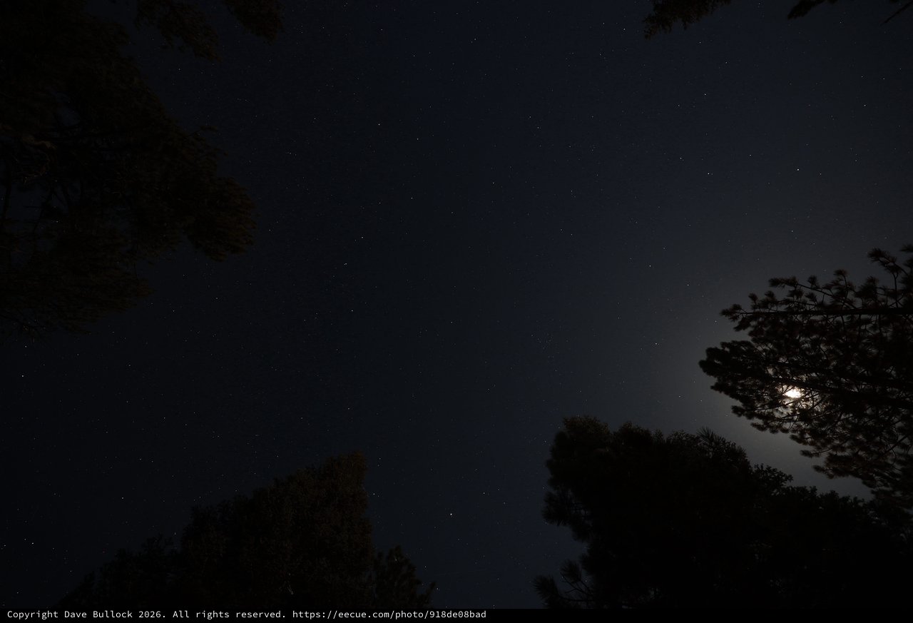 Moonlit Night Sky Over Lassen Volcanic Forest