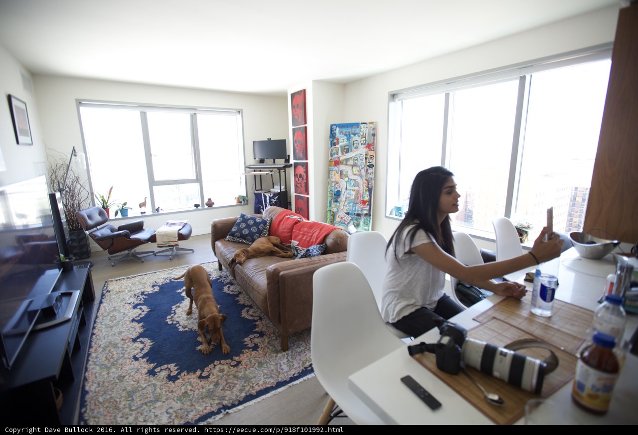 Relaxing in the Living Room