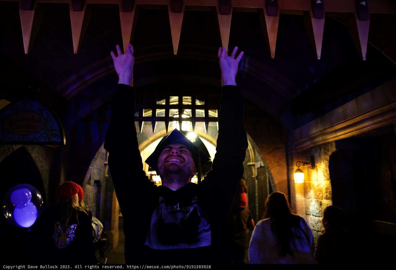 Magical Night in Disneyland
