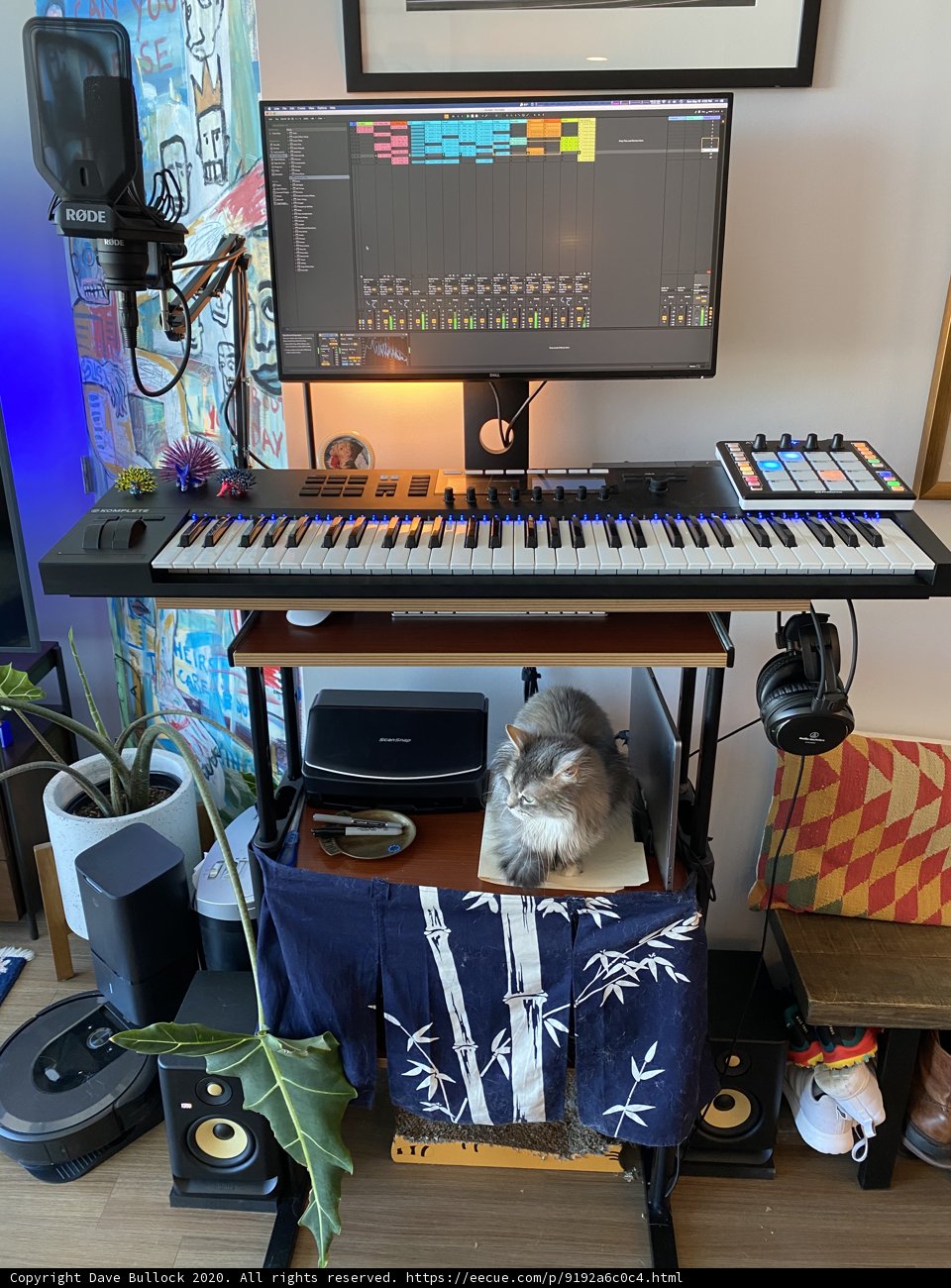The Musical Feline