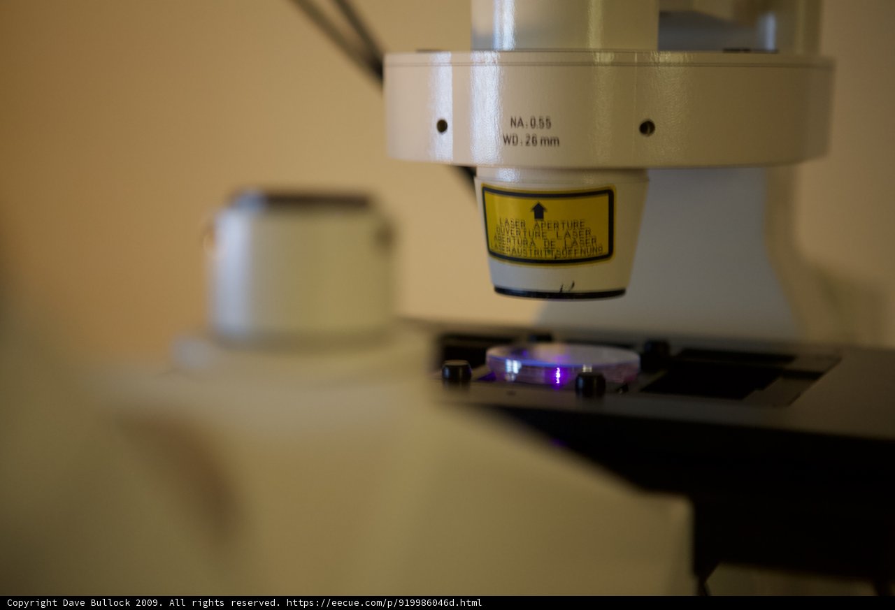 Microscope Illumination