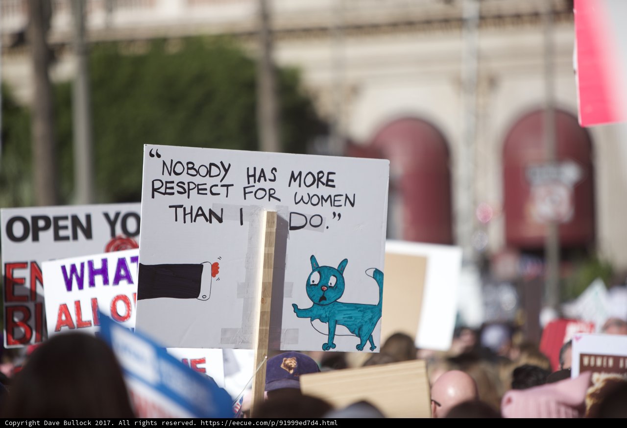 Feline Feminism