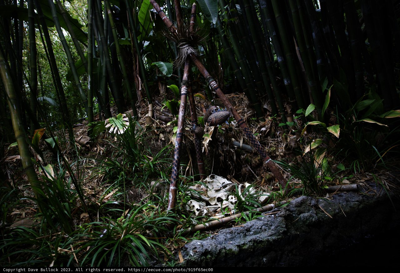 The Serene Bamboo Haven