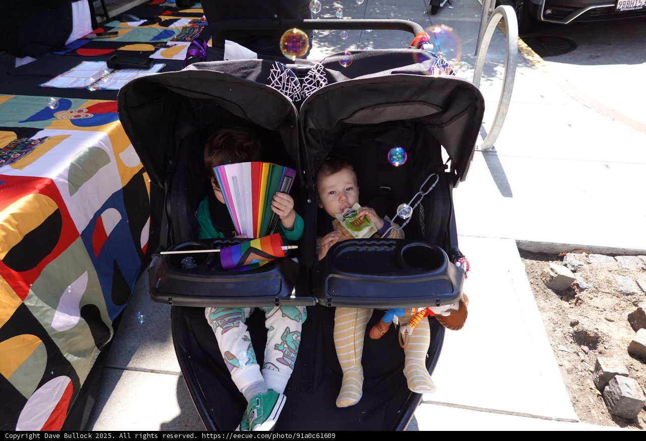 Stroller Chronicles: A Day Out
