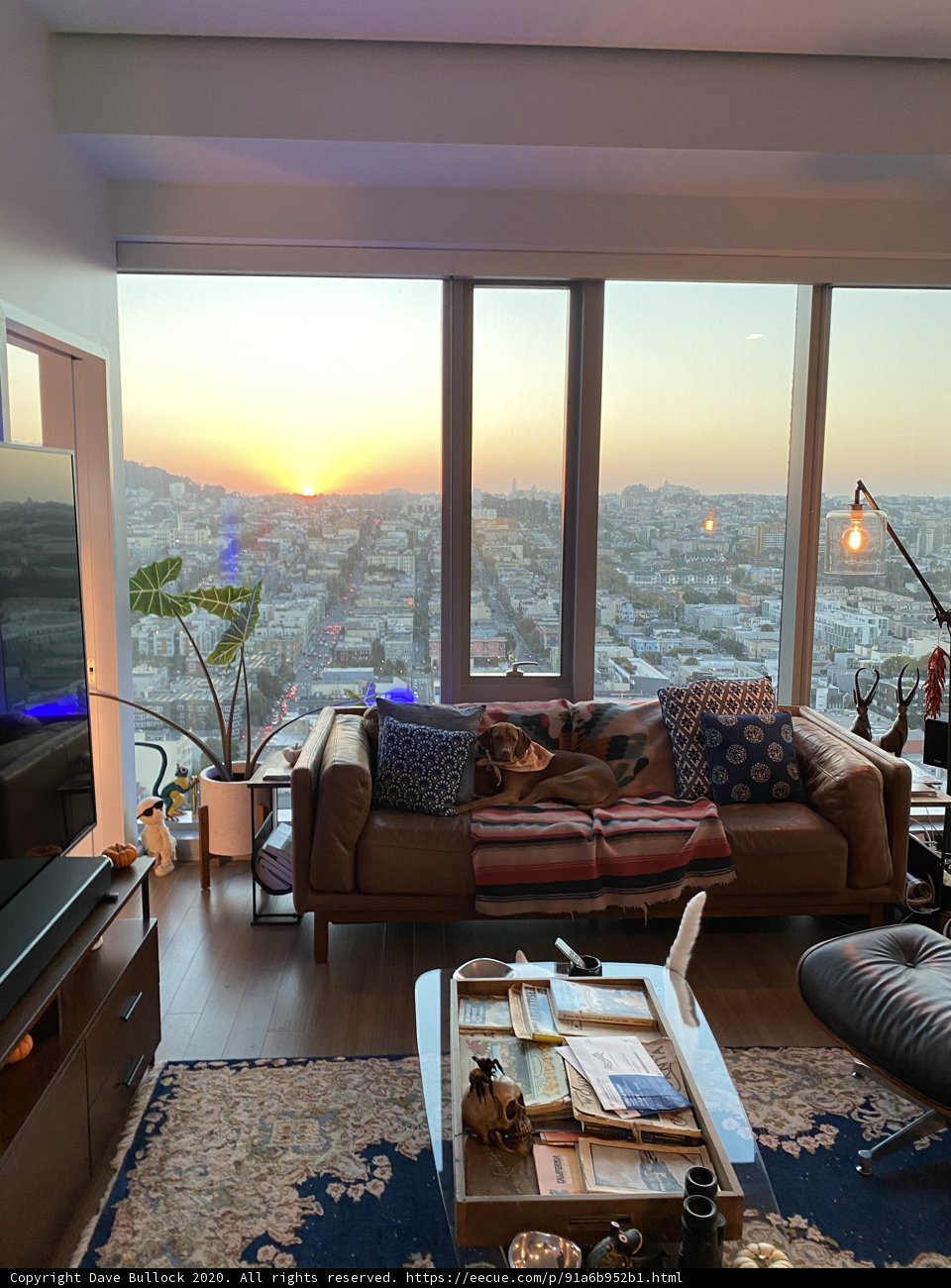 Cozy Living Room with City Skyline View