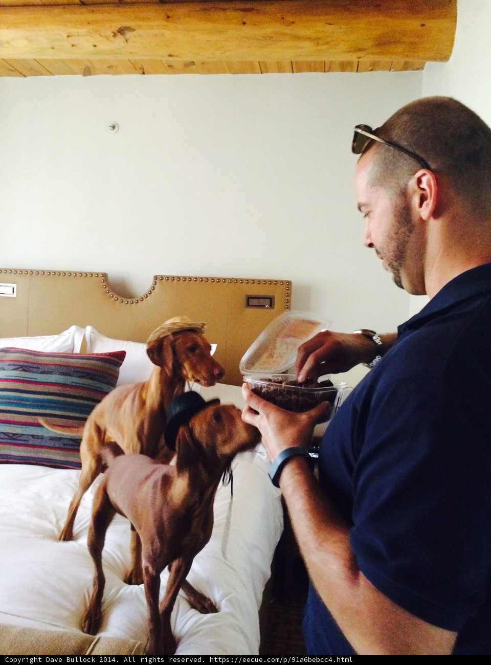 A Man's Best Friends