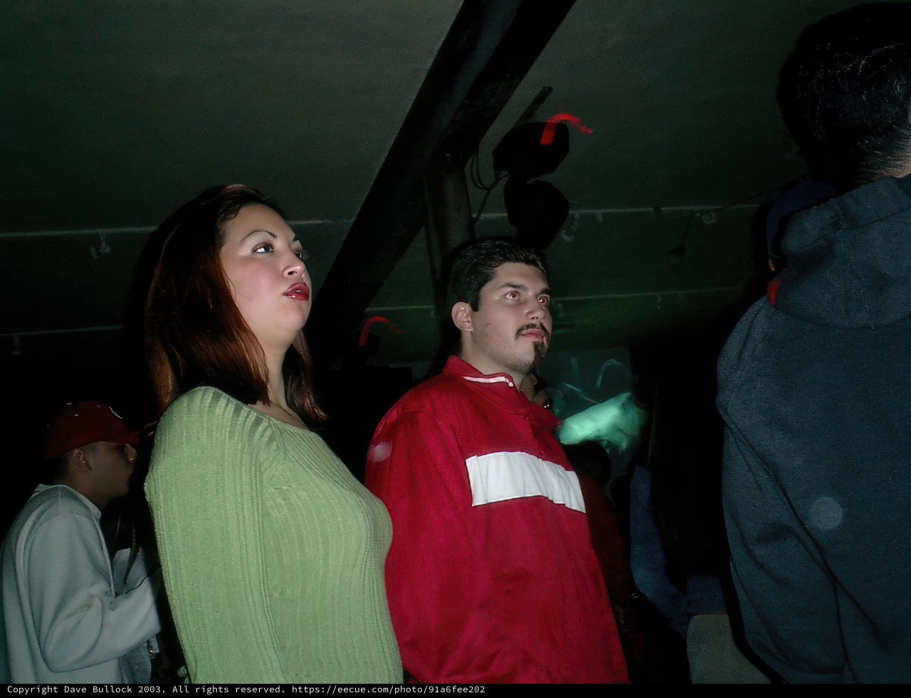 Crowd Companions