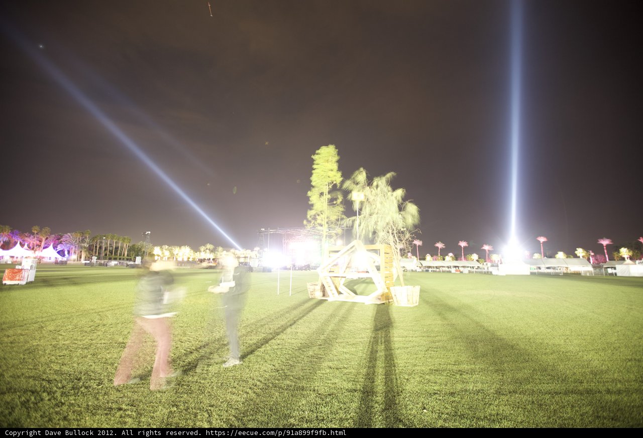 Nighttime Stroll Through the Field