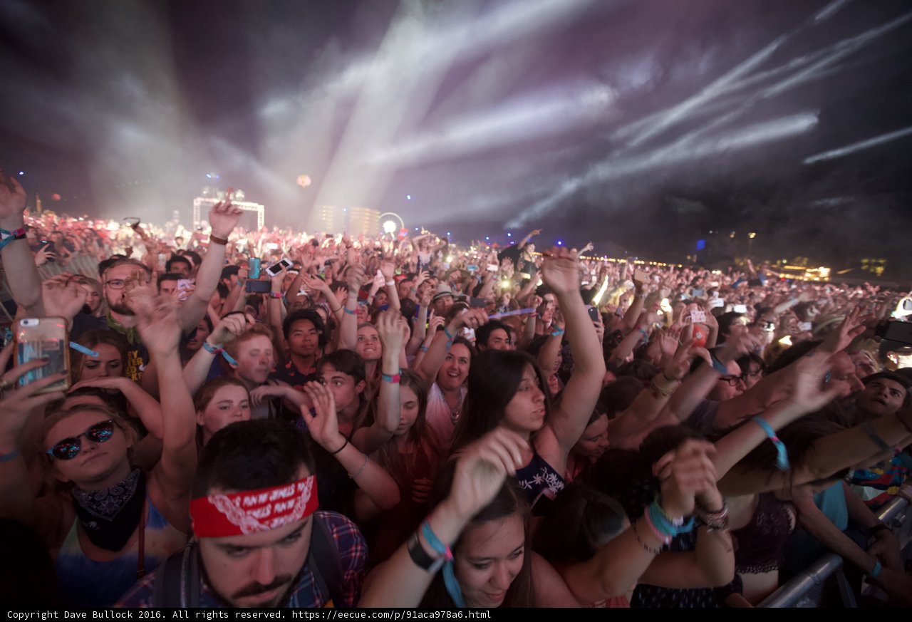 Party in the Crowd