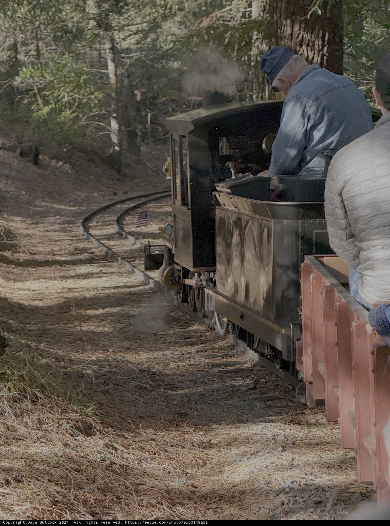 Steam Train Operator Stoking Engine in Forest