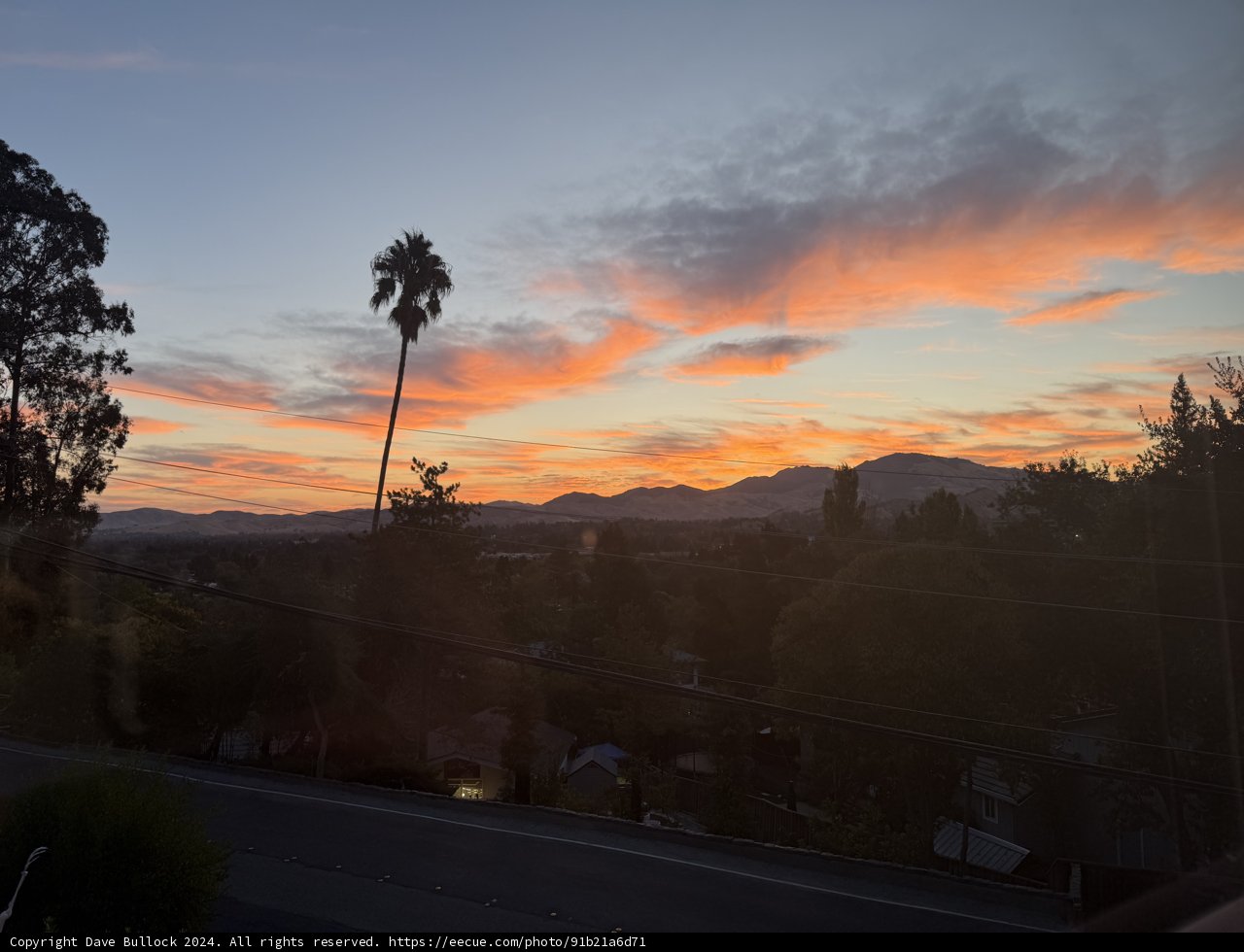 Sunset Silhouettes