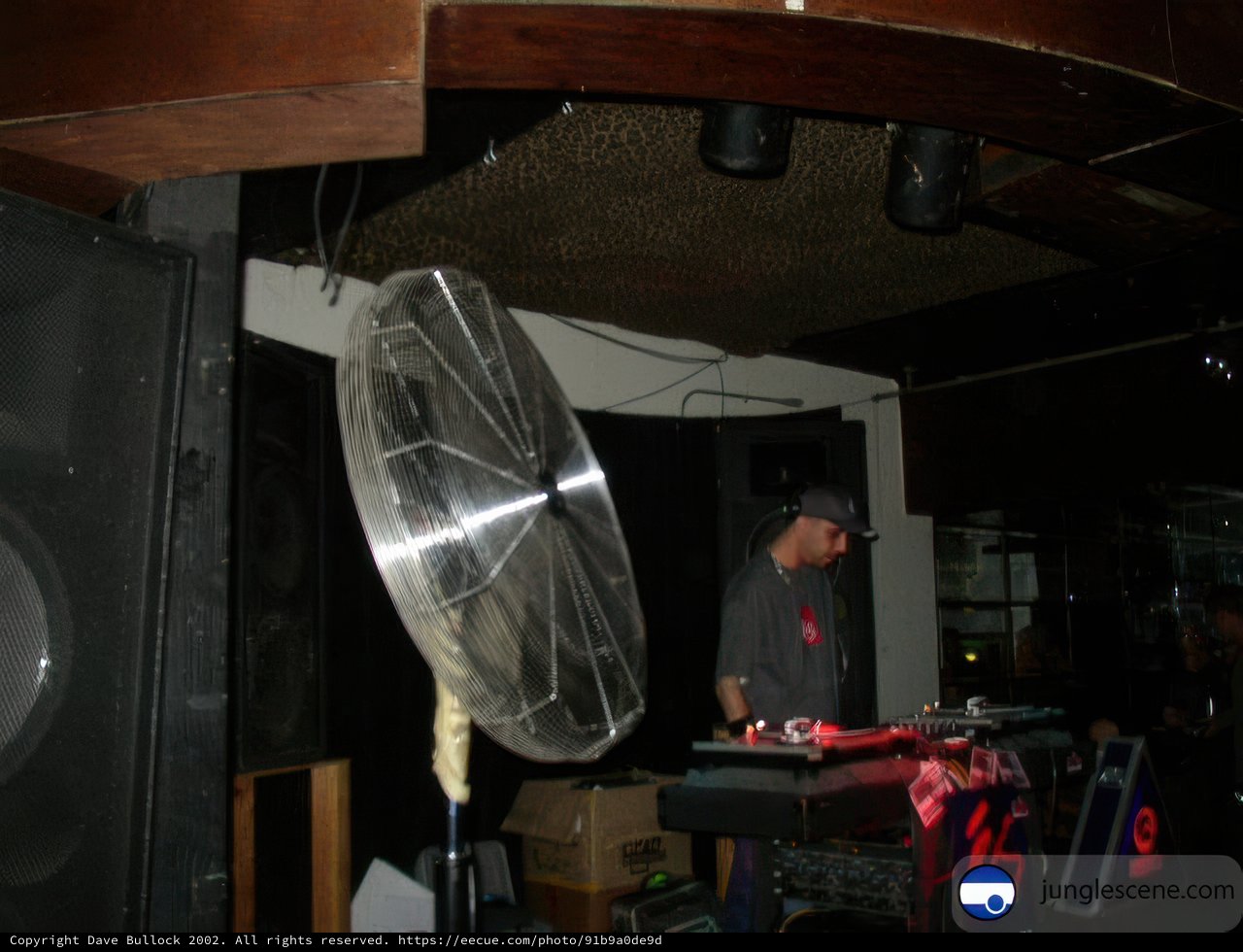 DJ Entertainer in Action