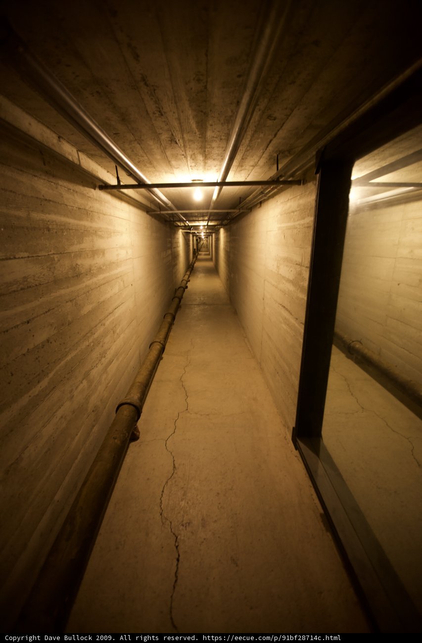 Tunnel of Light