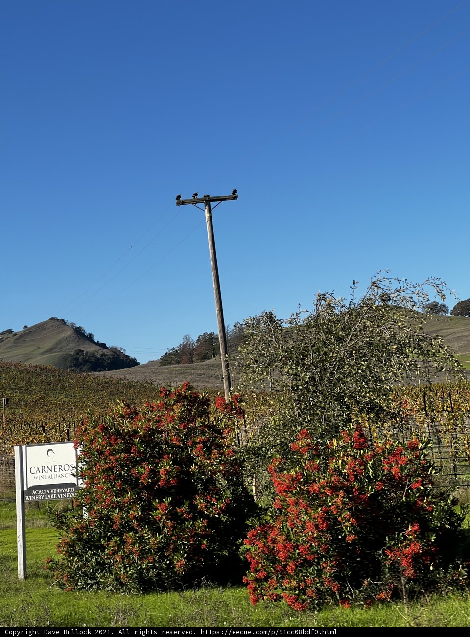 Rural Utility Pole