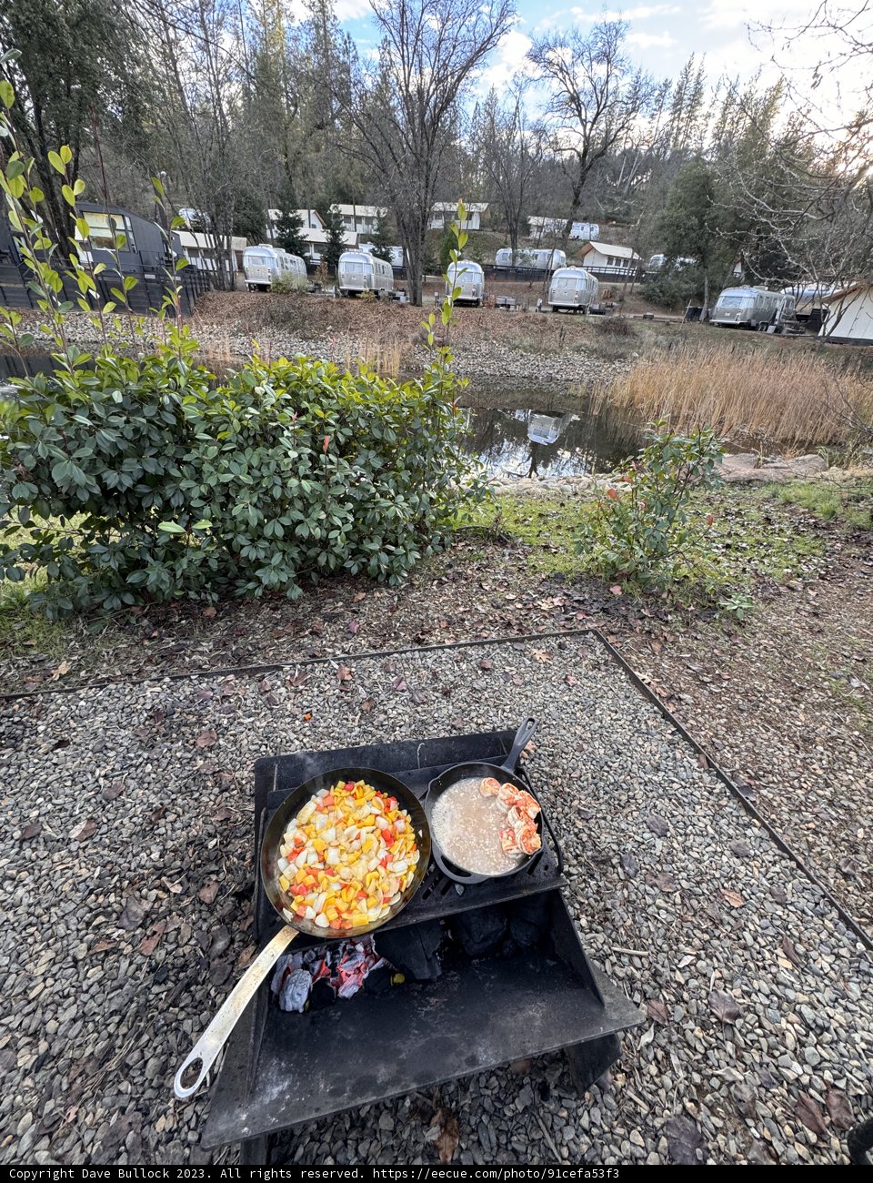 Sunshine Feast on Wheels