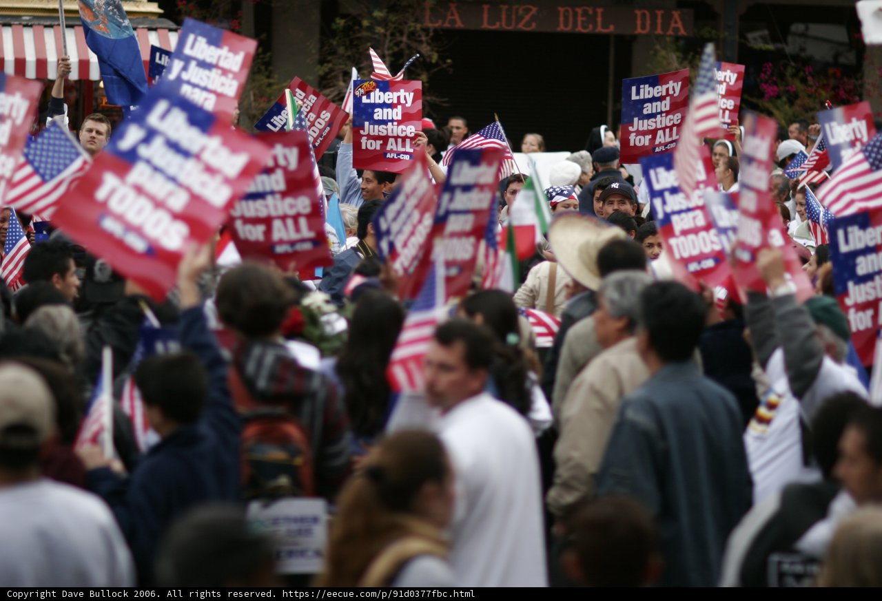 Patriotic Crowd