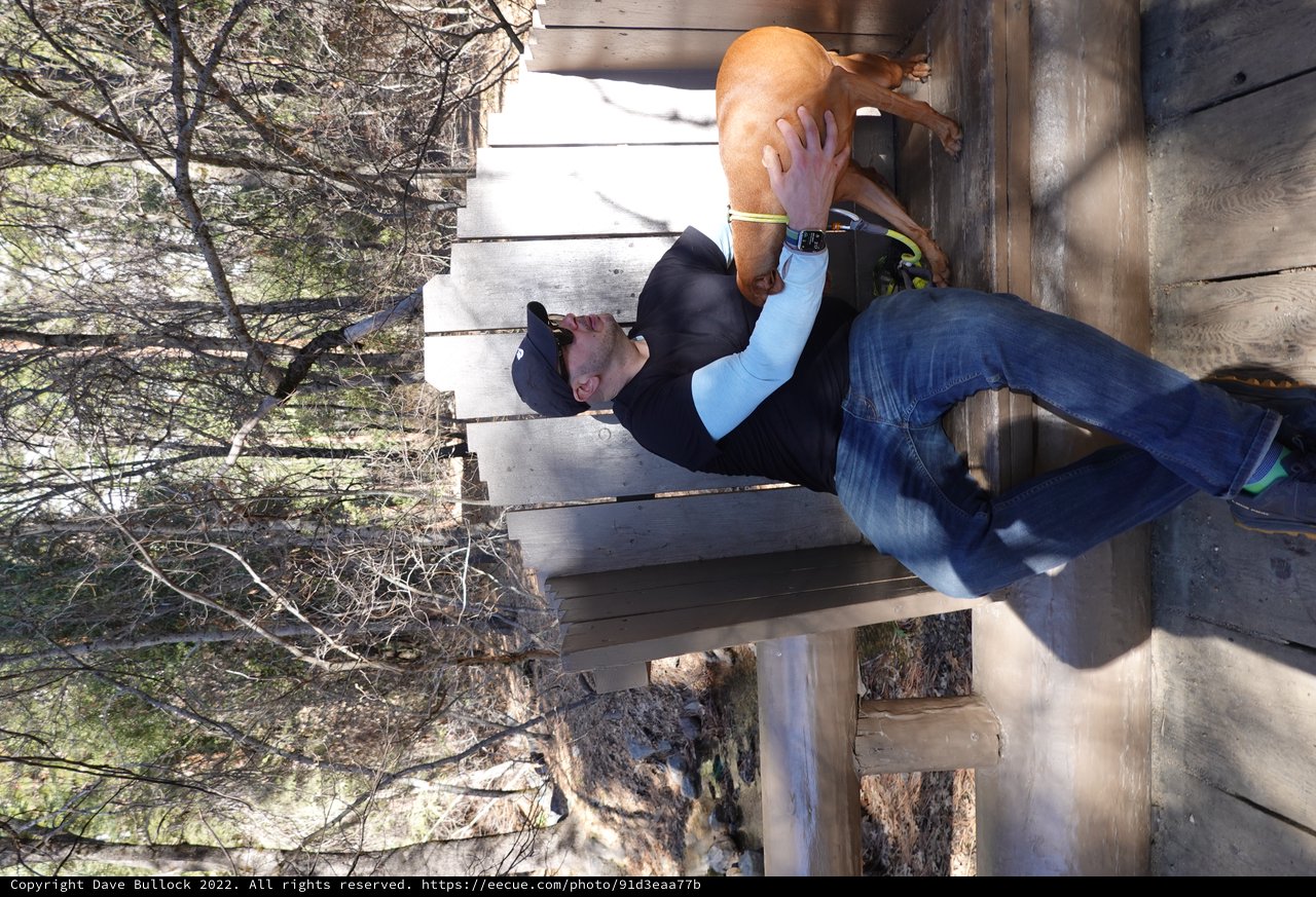 Man and Dog Resting on Park Bench