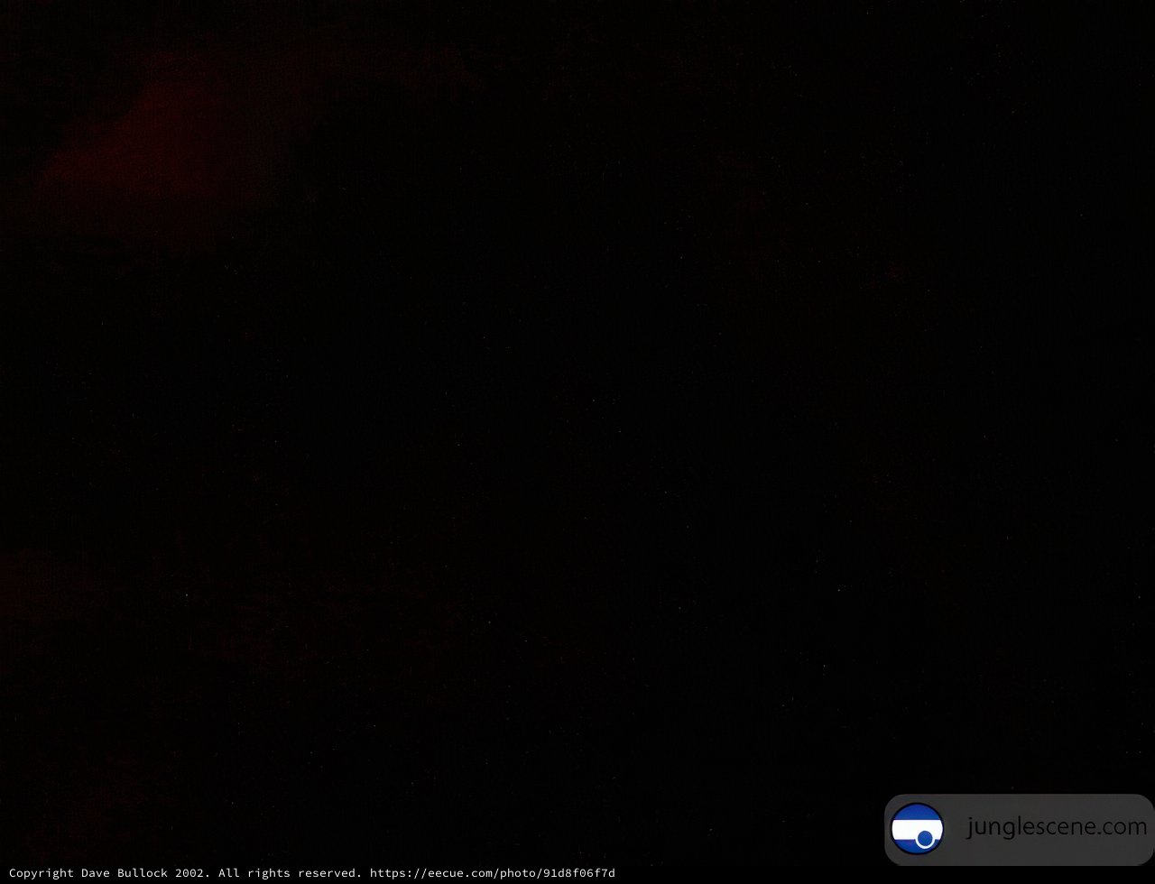 Red Light Flare in the Night Sky