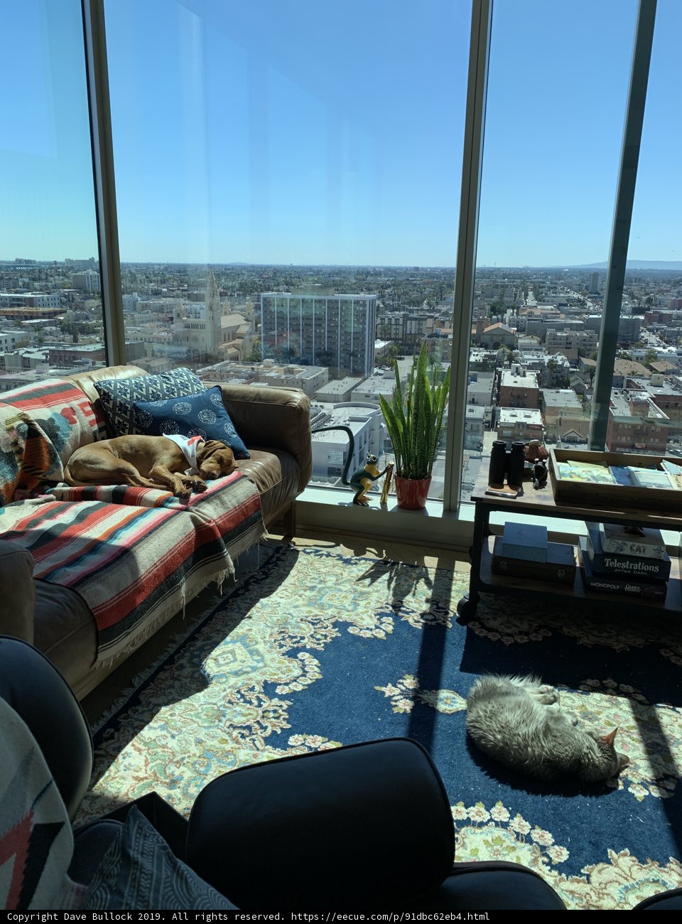 Cozy Living Room with Four-Legged Friend