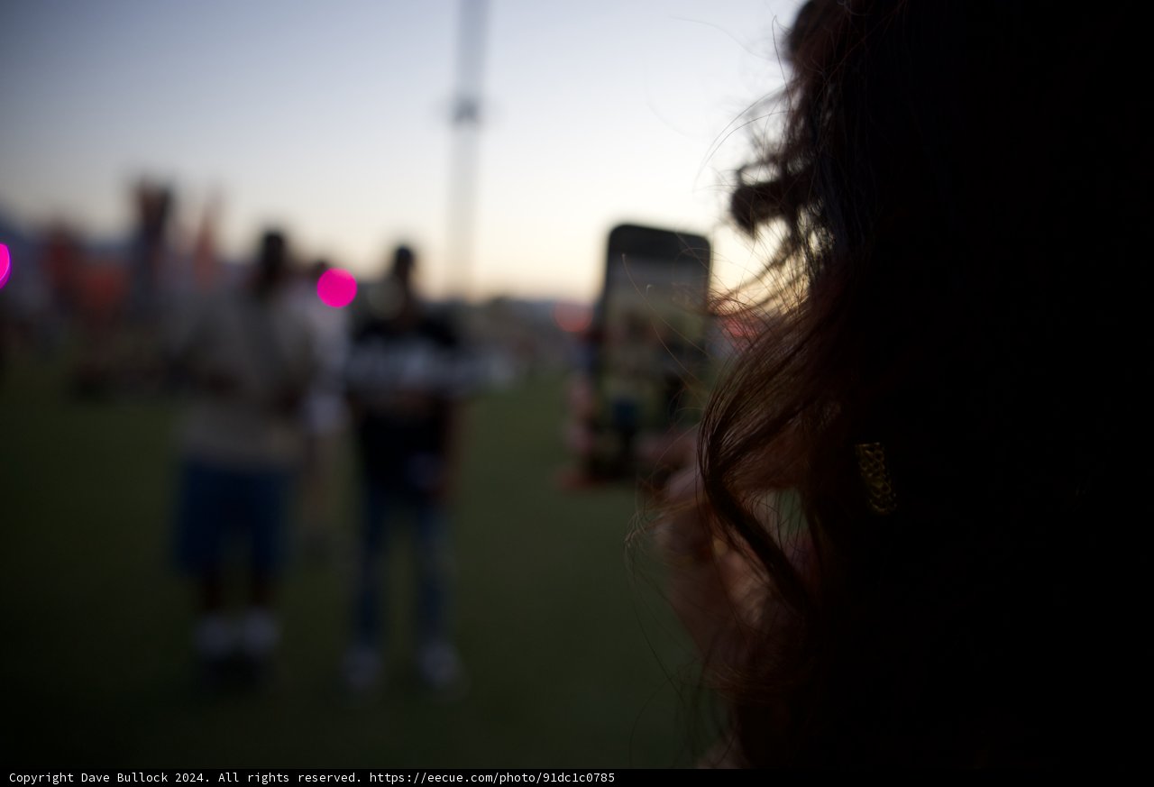 Sunset Silhouettes at Coachella
