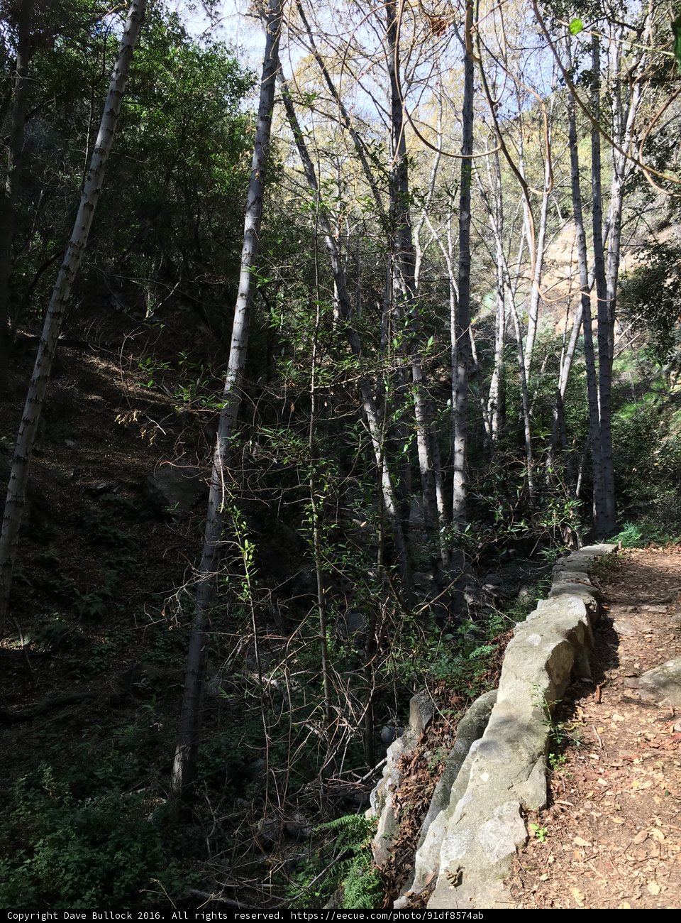 Traversing the Trail