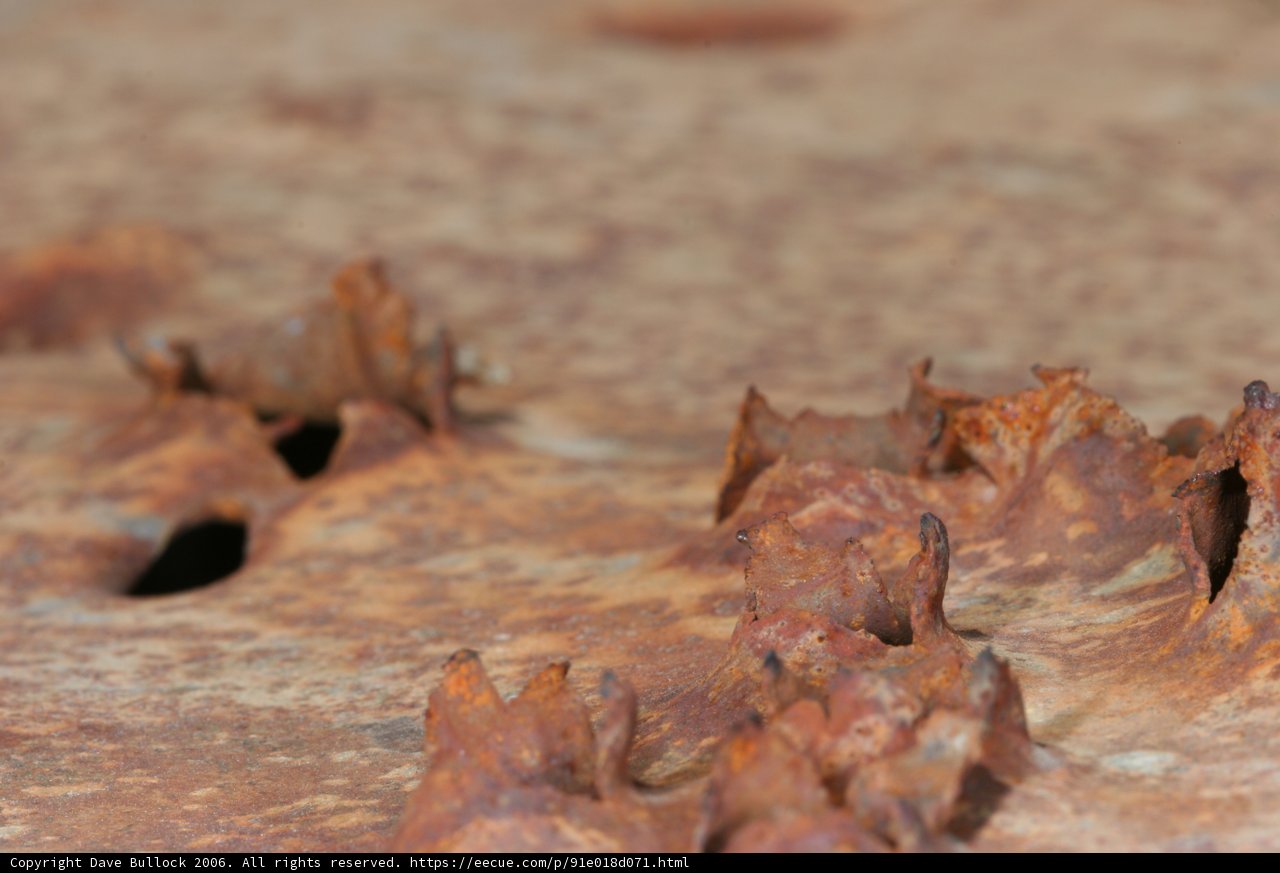 Rusty Invertebrate Habitat