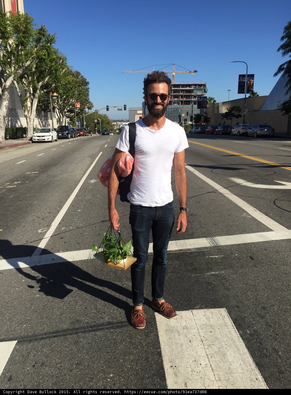 Urban Plant Portrait